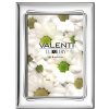 Cornice in argento laminato Valenti 18x24 51010-5L