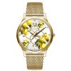 Orologio donna Camurria ” I Lumia ” CW05GS1