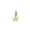 Charm Luca Barra Farfalla CH207