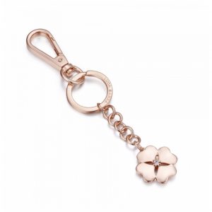 Portachiavi con Quadrifoglio in Acciaio Donna Luca Barra PK172