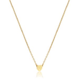 Collana Donna in Acciaio Dorato con Pendente con Gufetto S’Agapo' SCK255