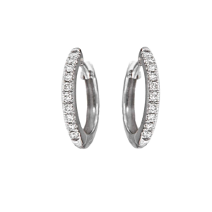 Orecchini Cerchietto con Diamanti Davite e Delucchi BB 009822